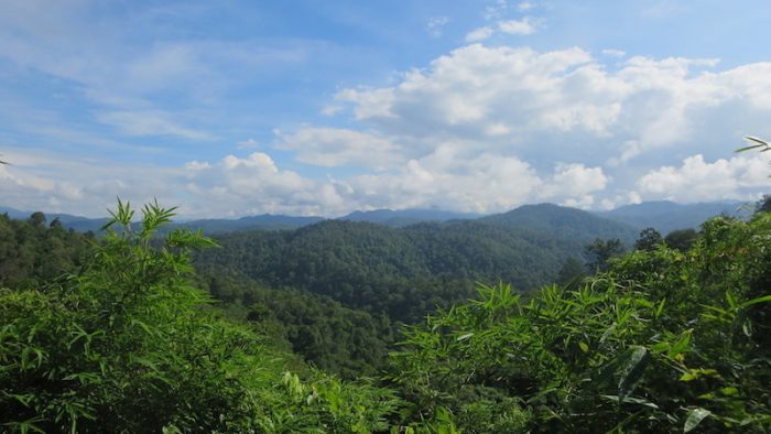 view of mountains