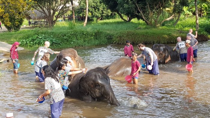 bathing elephants at Kantha Elephant Camp Sticky Waterfalls Adventure
