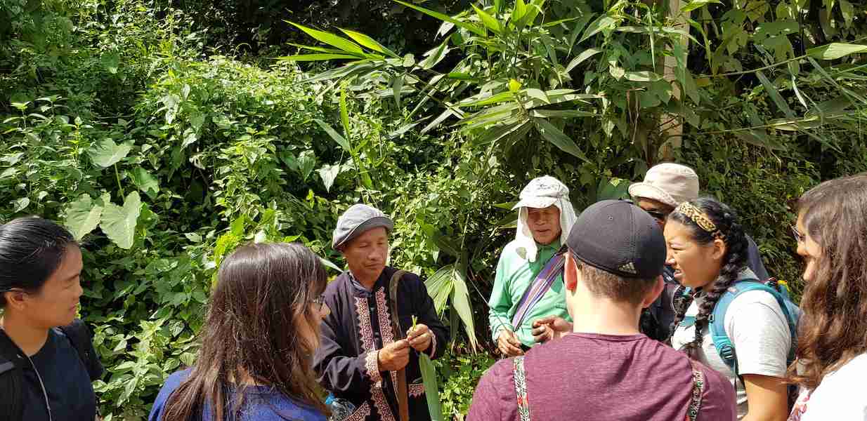 group listining to local guide