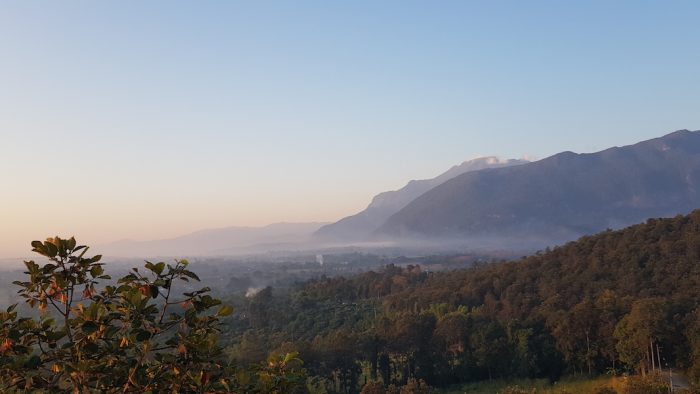 Morning fog mountains and vegetation